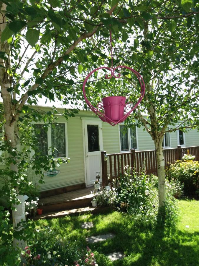 Hills View Accommadation Borrisoleigh 外观 照片